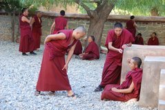 tibet3869