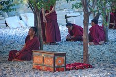 tibet3871