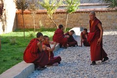tibet3872
