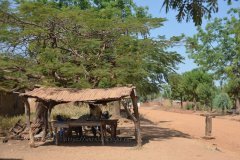 togo1001
