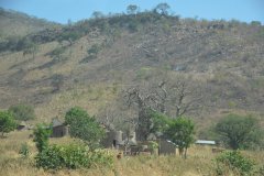 togo1002