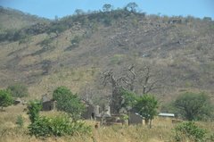 togo1002
