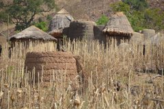 togo1010