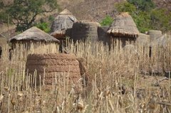 togo1010