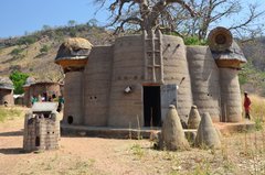 togo1011