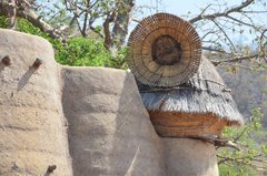 togo1015