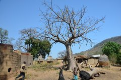togo1017