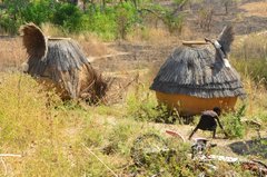 togo1018