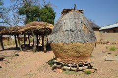 togo1019