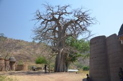 togo1025