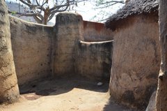 togo1033