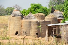 togo1050