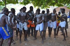 togo9050