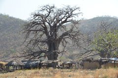 togo9088