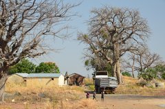 togo9091