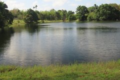trinidad1074