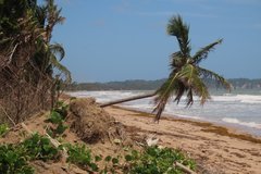 trinidad1100