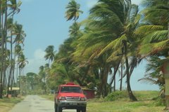 trinidad1117