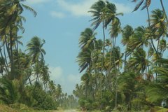 trinidad1120