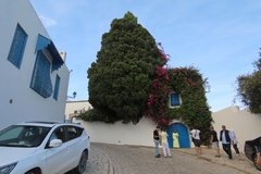 tunesie2009