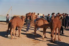 turkmenistan1038