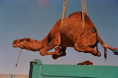 turkmenistan1045