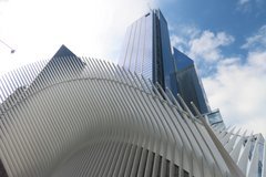 usa1119