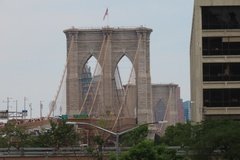 usa1131