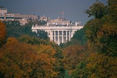 usa2121