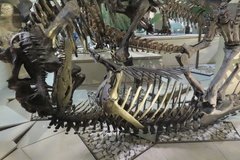 usa2183