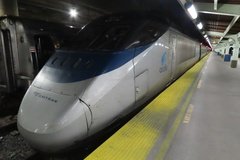 usa2501