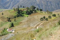 venezuela2006