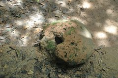 vietnam1144