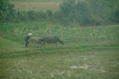 vietnam3705