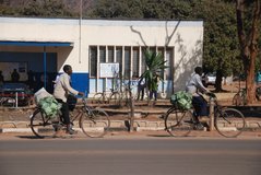 zambia5008