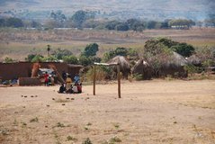 zambia5010