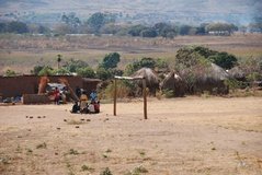 zambia5010