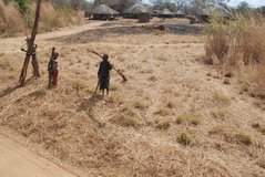 zambia5012
