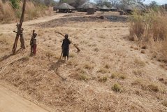 zambia5012