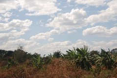 zambia5018