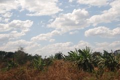zambia5018