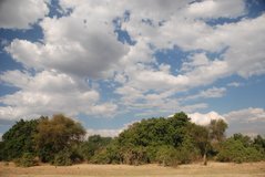 zambia5020
