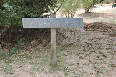 zambia5030