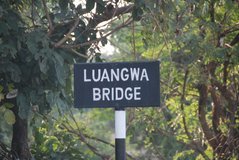 zambia5031