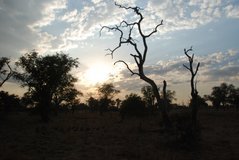 zambia5055