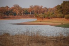 zambia5073