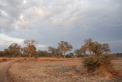 zambia5075