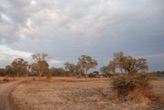 zambia5075