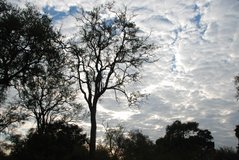 zambia5078