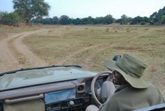 zambia5137